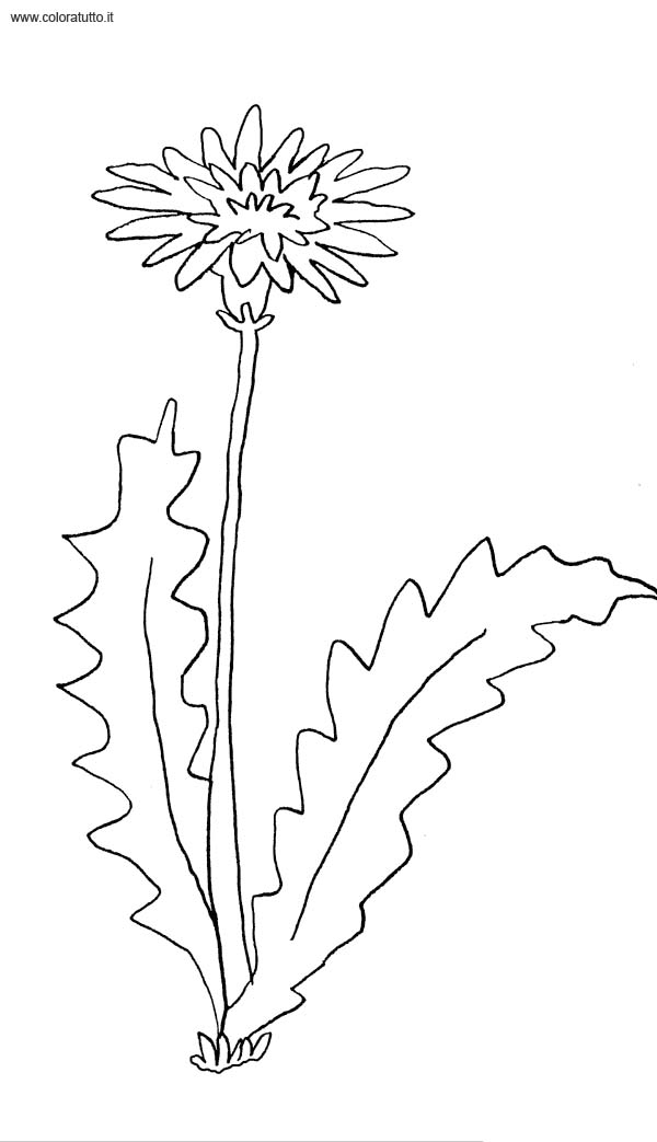 immagine primavera da colorare