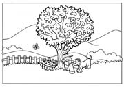 immagine primavera da colorare