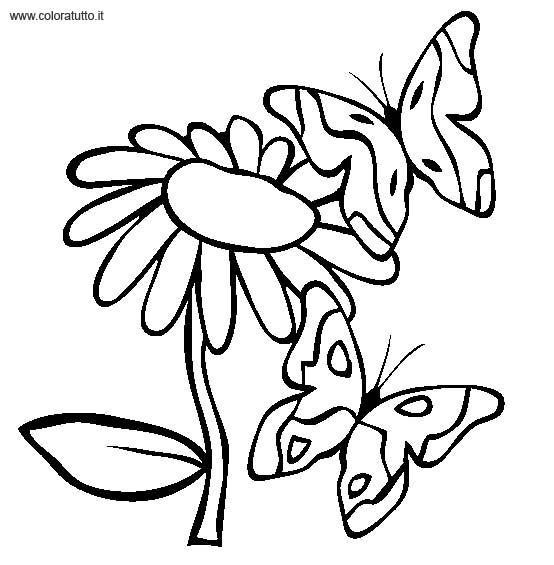 immagine primavera da colorare