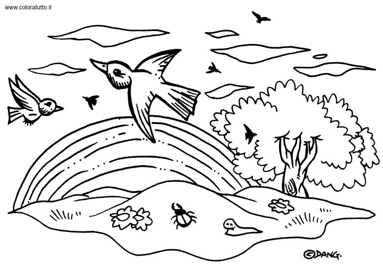 immagine primavera da colorare