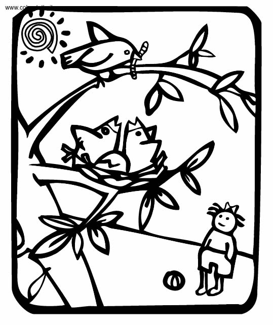 immagine primavera da colorare