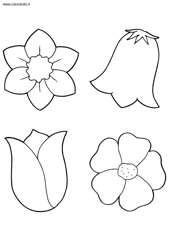 immagine primavera da colorare