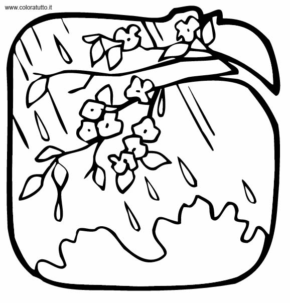 immagine primavera da colorare