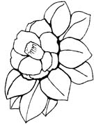 immagine primavera da colorare