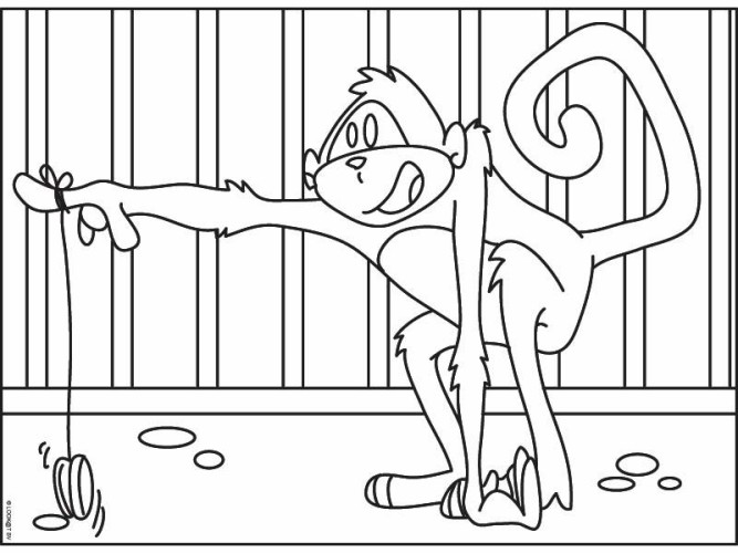 immagine scimmie da colorare