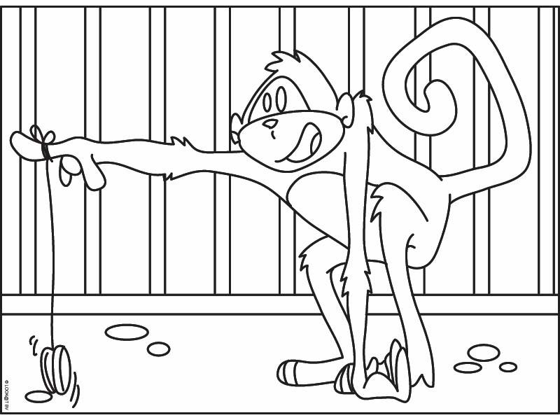 immagine scimmie da colorare