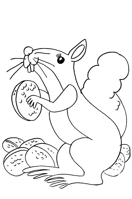 immagine scoiattolo da colorare