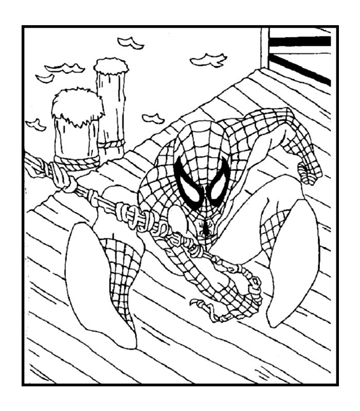 immagine spiderman da colorare