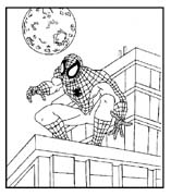 immagine spiderman da colorare