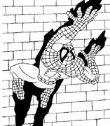 immagine spiderman da colorare