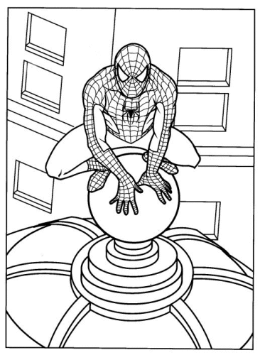 immagine spiderman da colorare