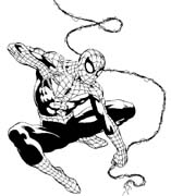 immagine spiderman da colorare
