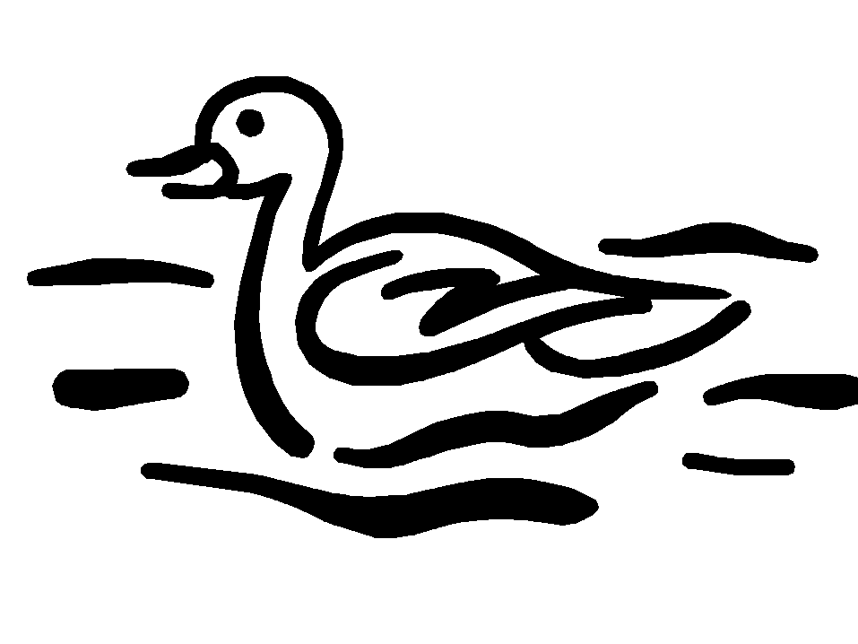 immagine uccelli da colorare