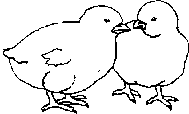 immagine uccelli da colorare