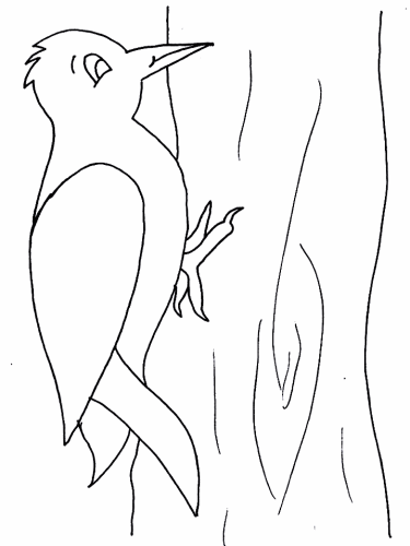 immagine uccelli da colorare