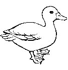 immagine uccelli da colorare