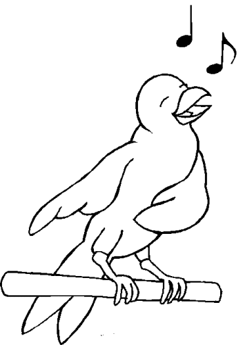 immagine uccelli da colorare
