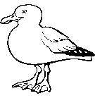 immagine uccelli da colorare