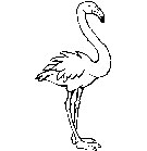 immagine uccelli da colorare