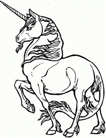 immagine unicorno da colorare