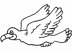 immagine uccelli da colorare